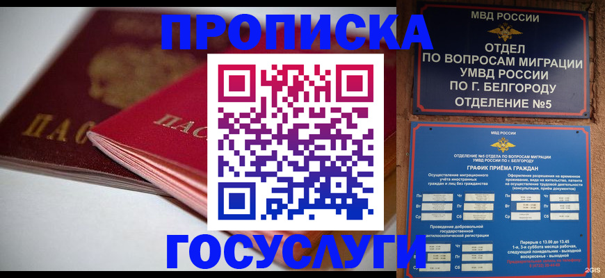 временная регистрация собственник в Ногинске